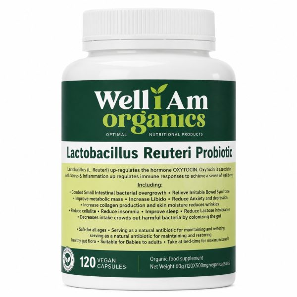 Lactobacillus Reuteri Probiotic